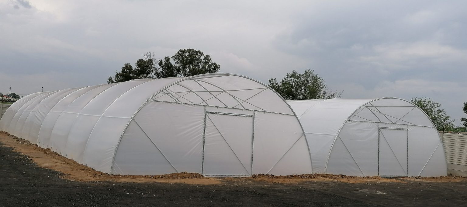 Commercial Tunnel Home Veggie Dome