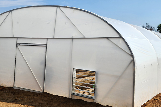 Commercial-tunnels-Greenhouse-Plastic