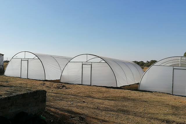 Semi-Commercial-tunnels-Greenhouse-Plastic