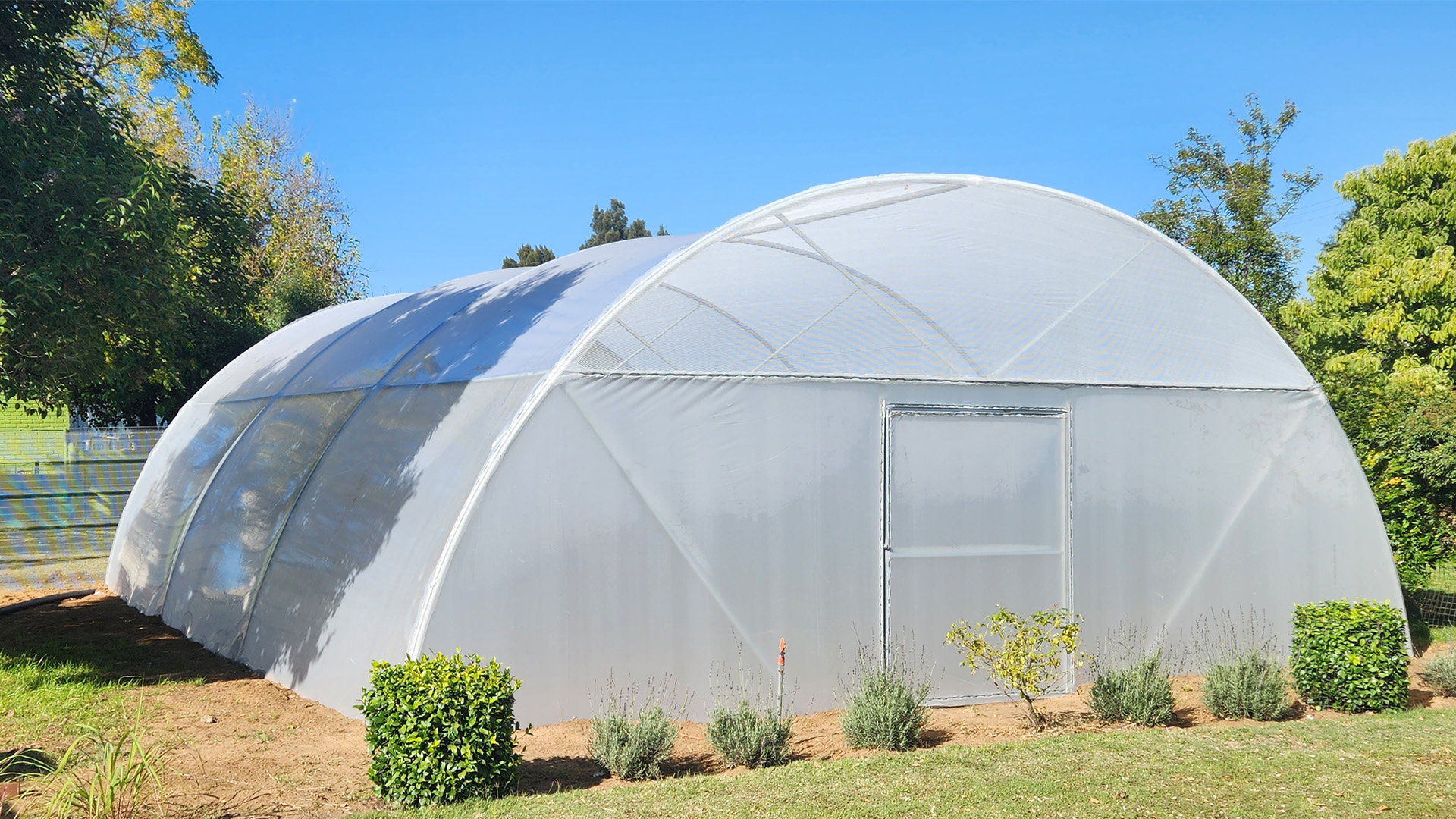 semi-commercial-tunnel-greenhouse-plastic